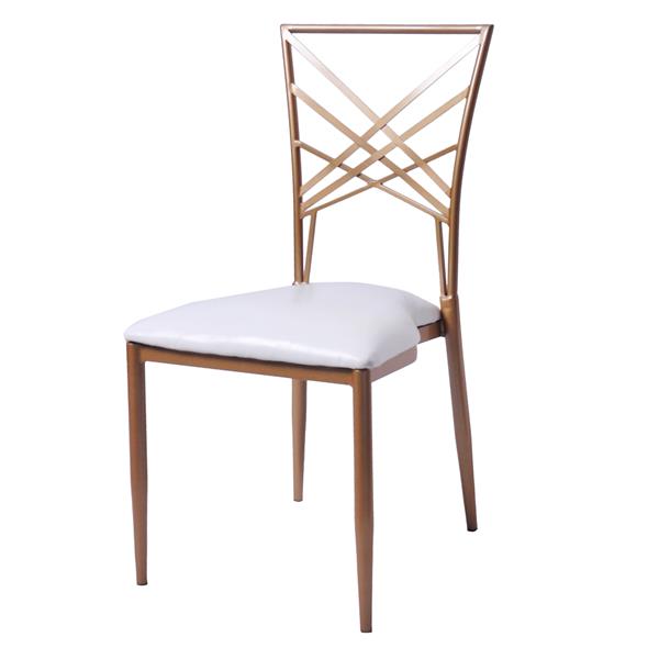 Stainless Steel Chairs