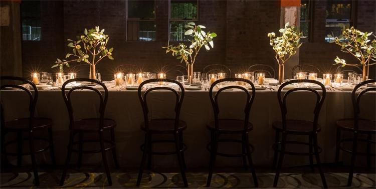 wooden bentwood chairs